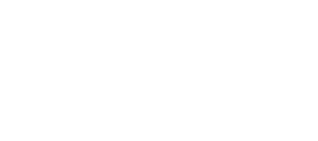 Solarity Paneles Solares Logo Blanco